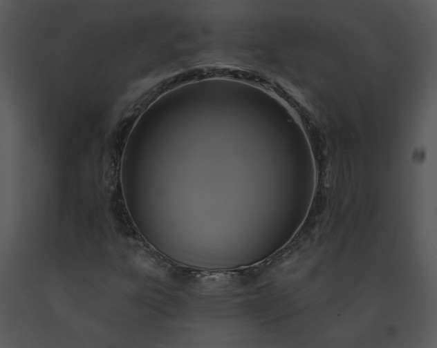 X0000091461303200708301822