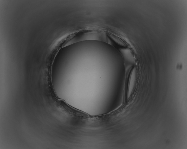 X0000091461304200708301822