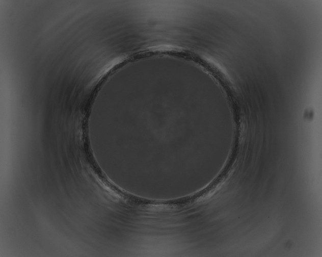 X0000091461305200708301822