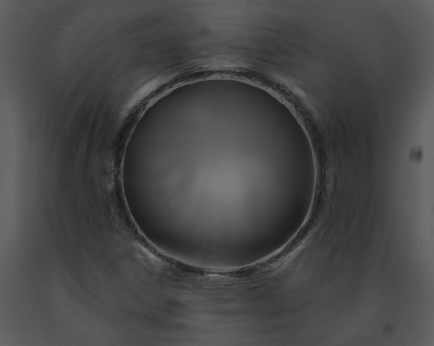 X0000091461306200708301822