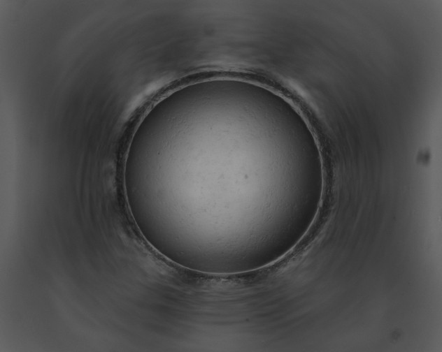 X0000091461307200708301822