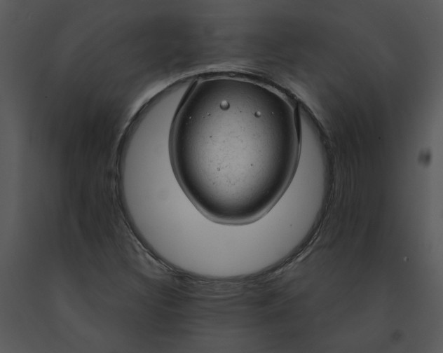 X0000091461308200708301822