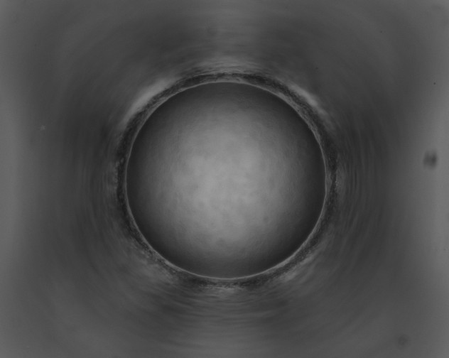 X0000091461309200708301822