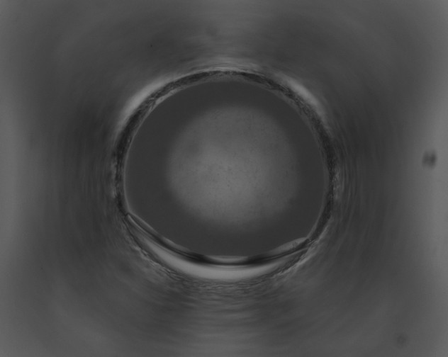 X0000091461310200708301822