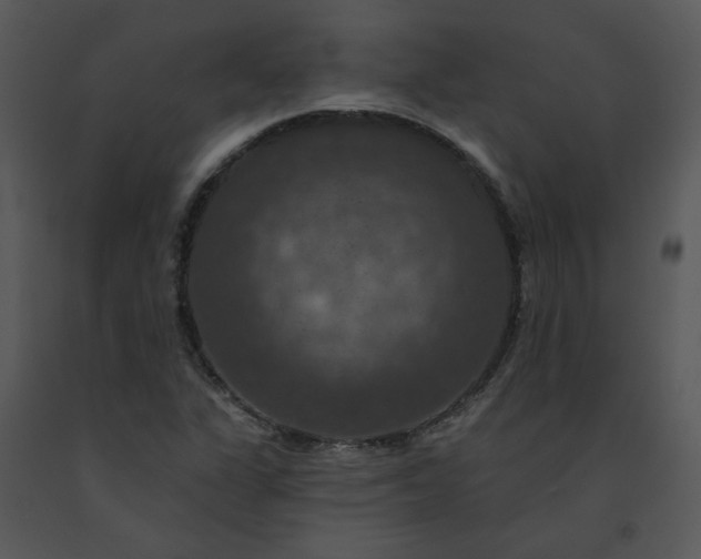 X0000091461311200708301822