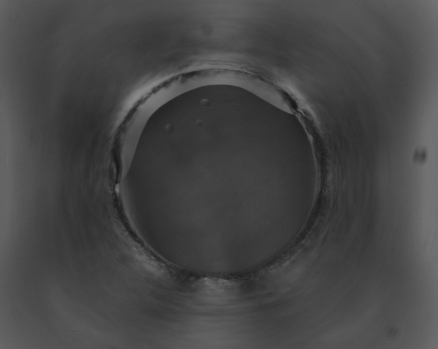 X0000091461312200708301822