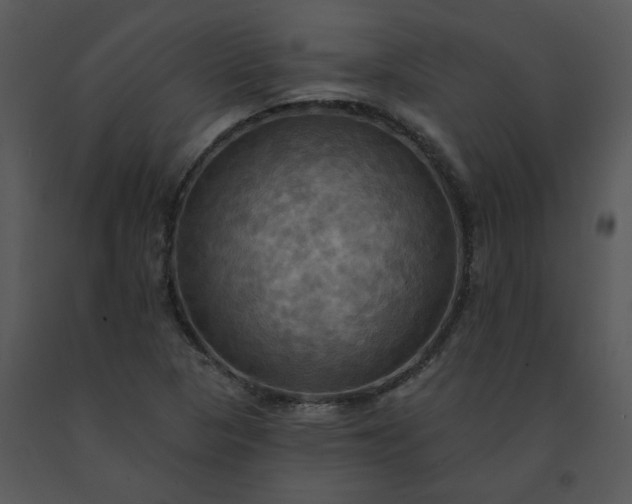 X0000091461313200708301822