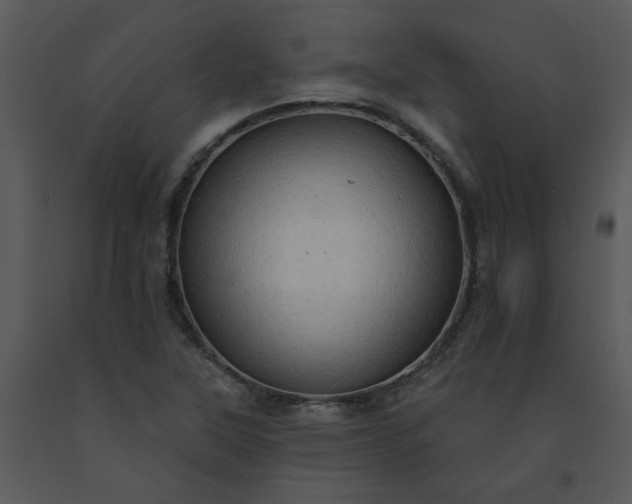 X0000091461315200708301822