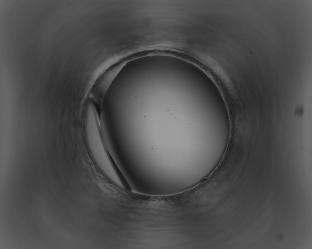 X0000091461316200708301822