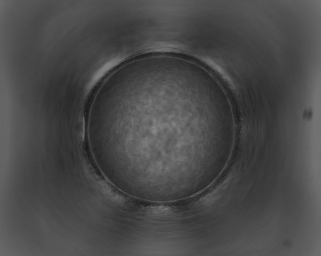 X0000091461317200708301822