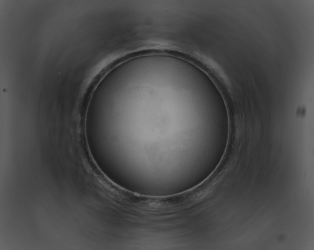 X0000091461318200708301822