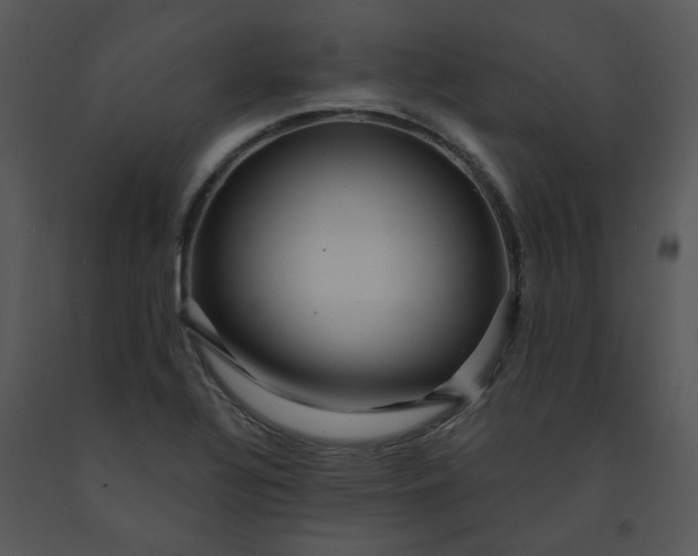 X0000091461320200708301822