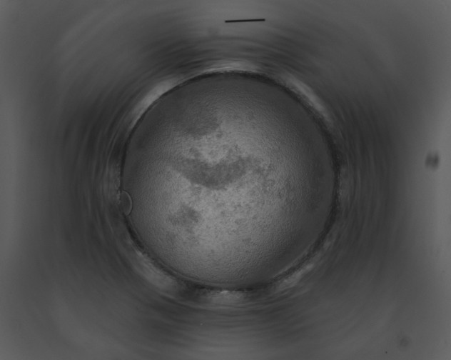 X0000091461321200708301822