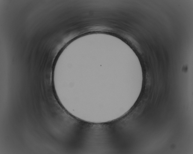 X0000091461322200708301822