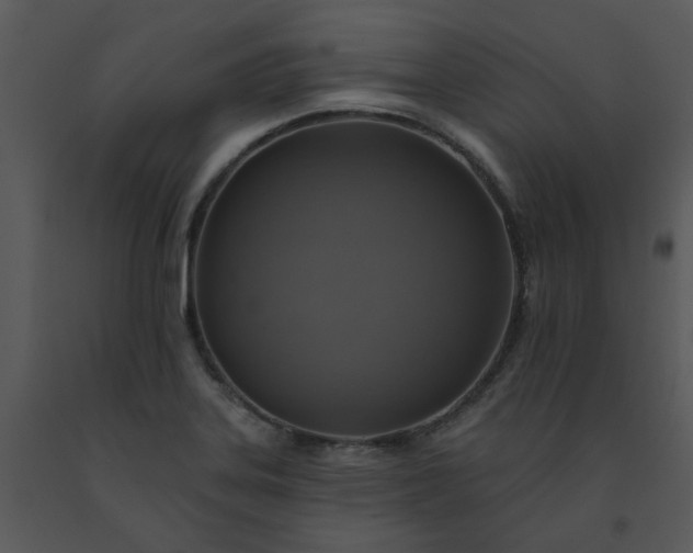 X0000091461323200708301822