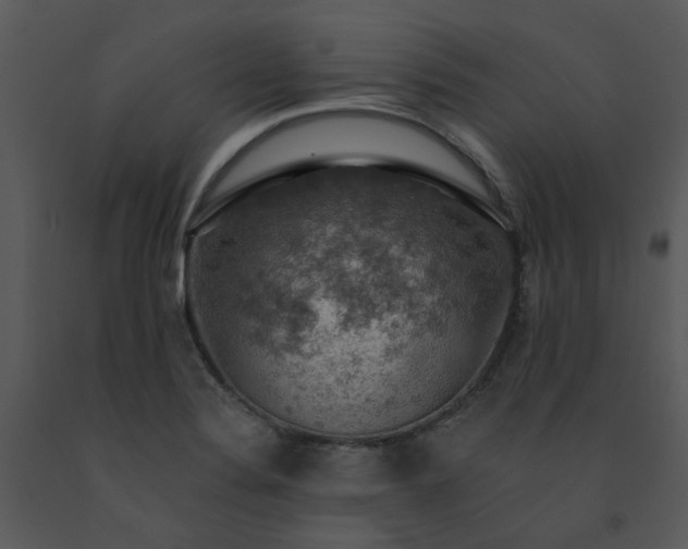 X0000091461324200708301822