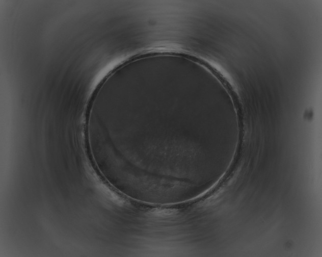 X0000091461325200708301822