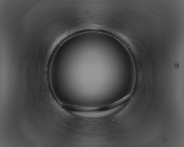 X0000091461326200708301823