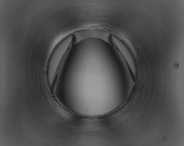 X0000091461328200708301823