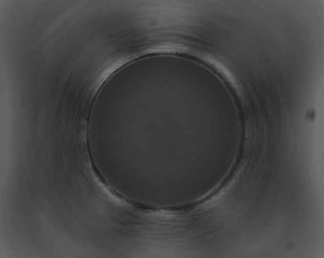 X0000091461329200708301823