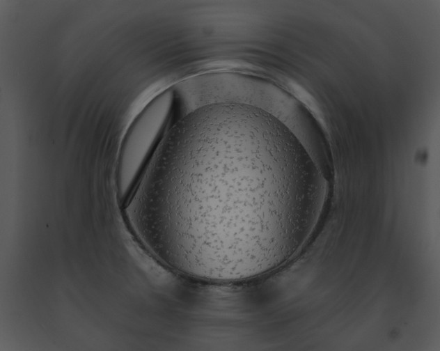 X0000091461330200708301823