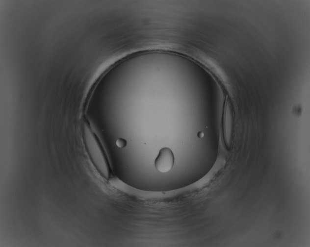 X0000091461332200708301823