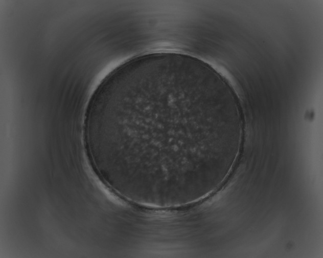 X0000091461333200708301823