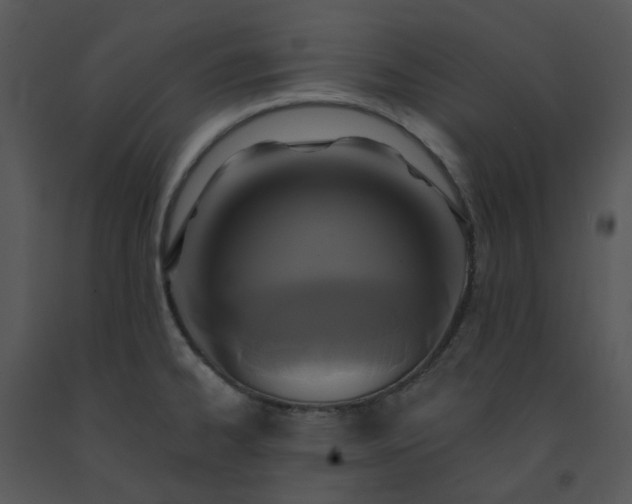 X0000091461334200708301823