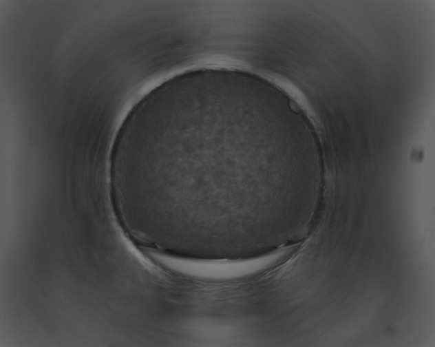 X0000091461335200708301823