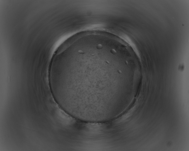 X0000091461336200708301823