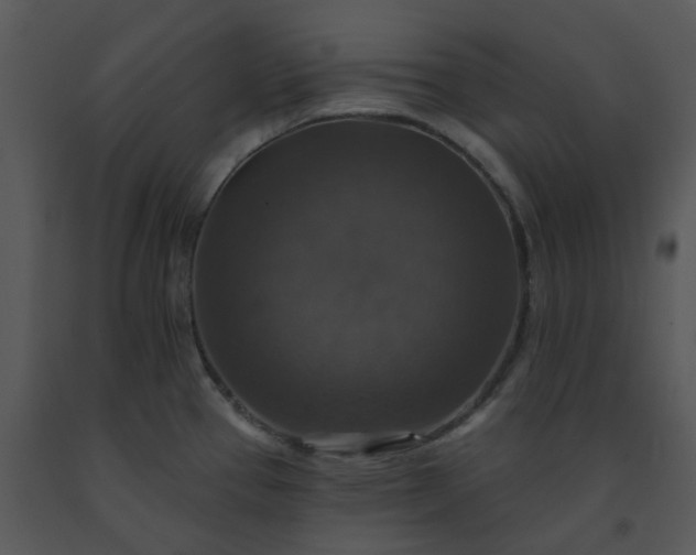 X0000091461337200708301823