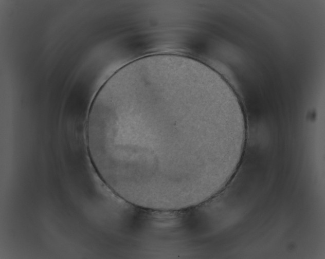 X0000091461338200708301823