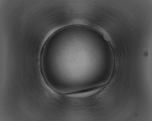 X0000091461339200708301823