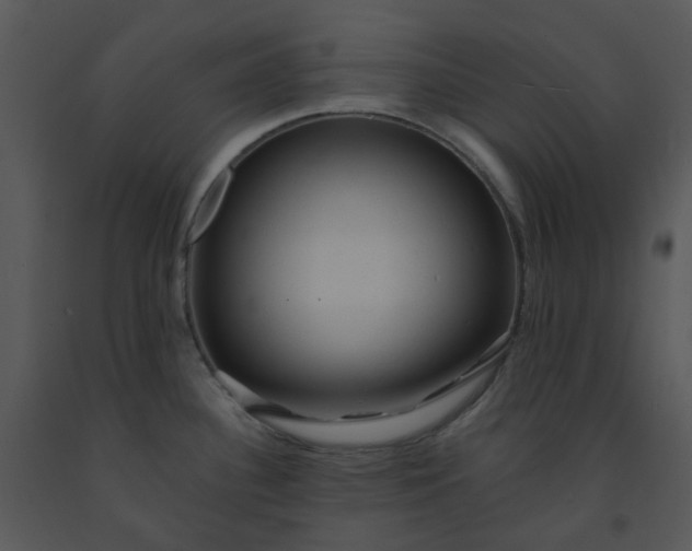 X0000091461340200708301823