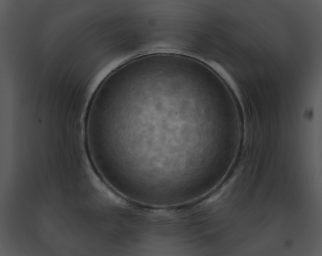 X0000091461341200708301823