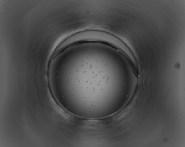 X0000091461342200708301823