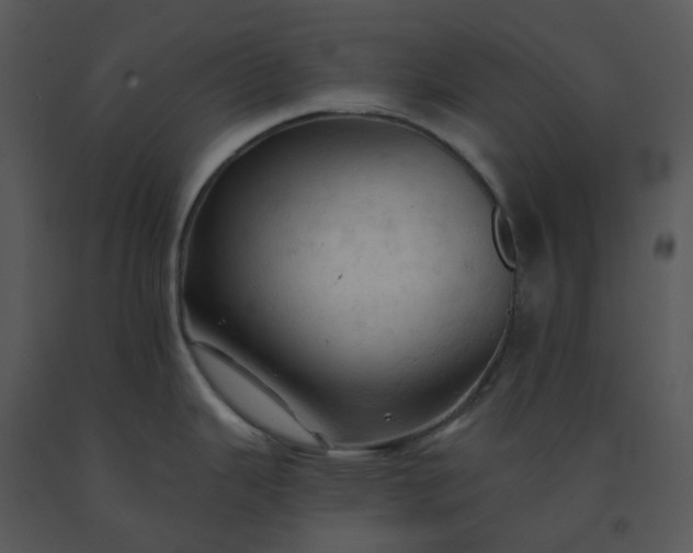 X0000091461343200708301823