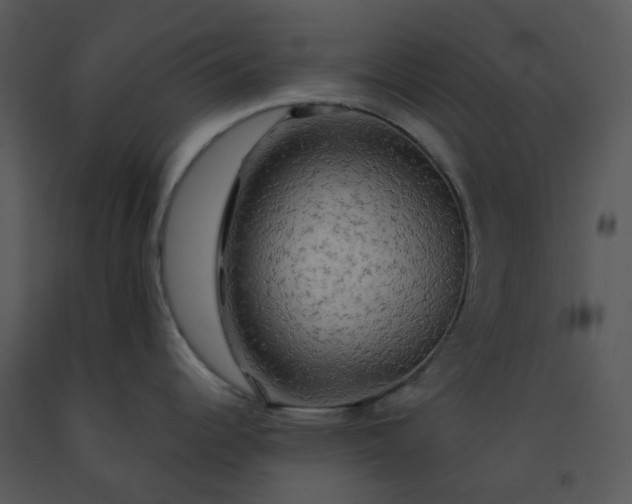 X0000091461344200708301823