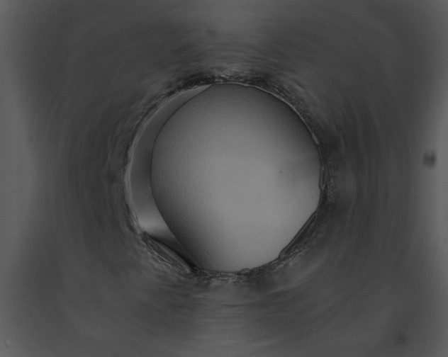 X0000091461345200708301822