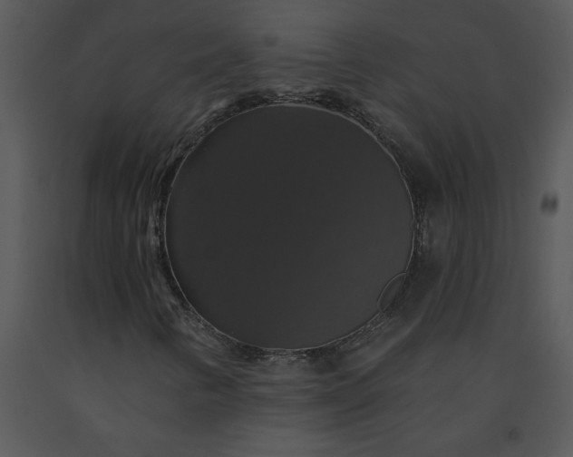 X0000091461346200708301822