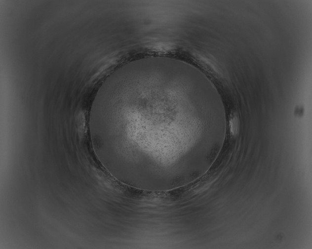 X0000091461347200708301822