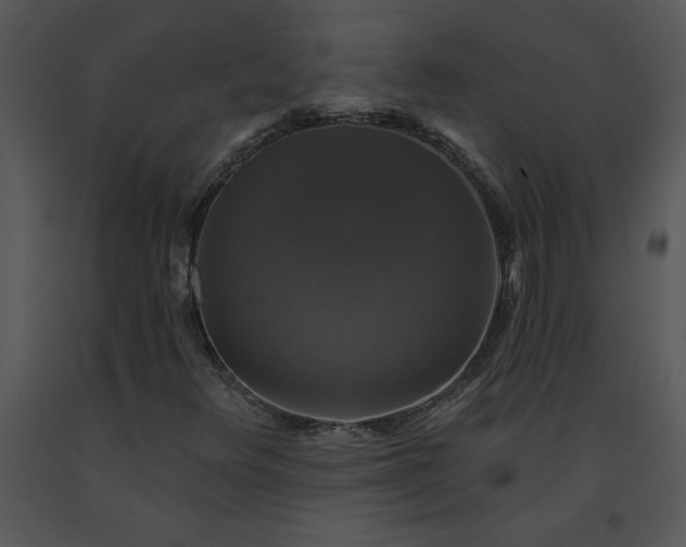 X0000091461348200708301822