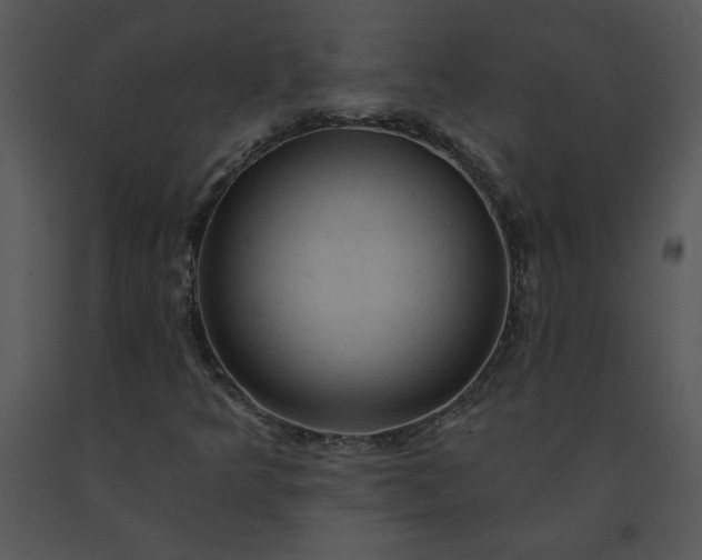 X0000091461349200708301822