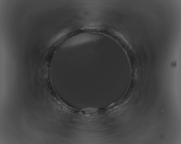 X0000091461350200708301822