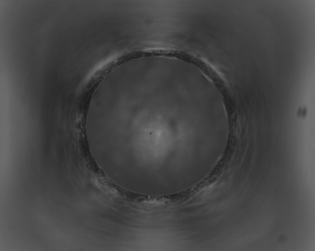 X0000091461351200708301822