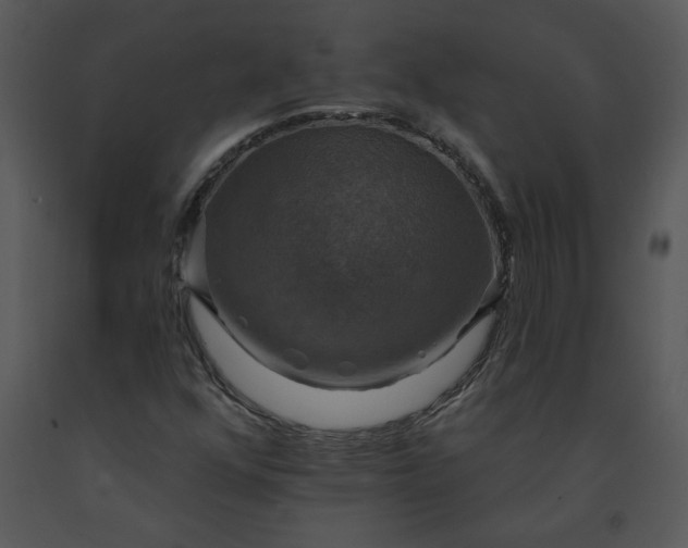 X0000091461352200708301822