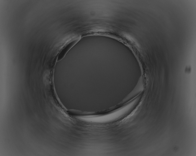 X0000091461353200708301822