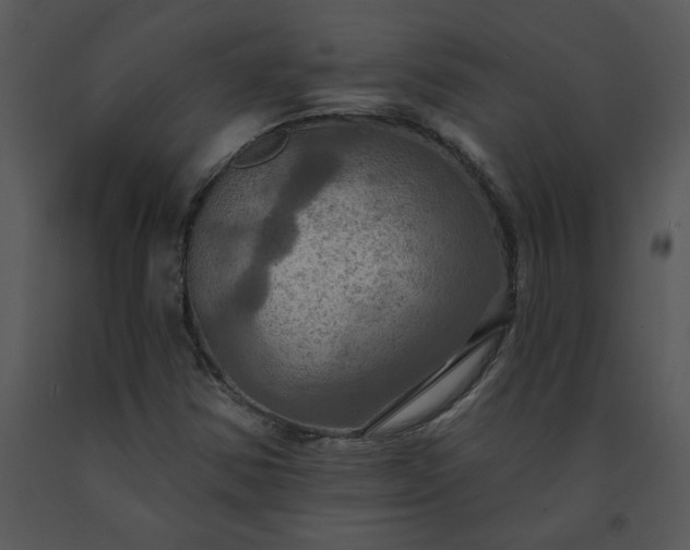 X0000091461354200708301822