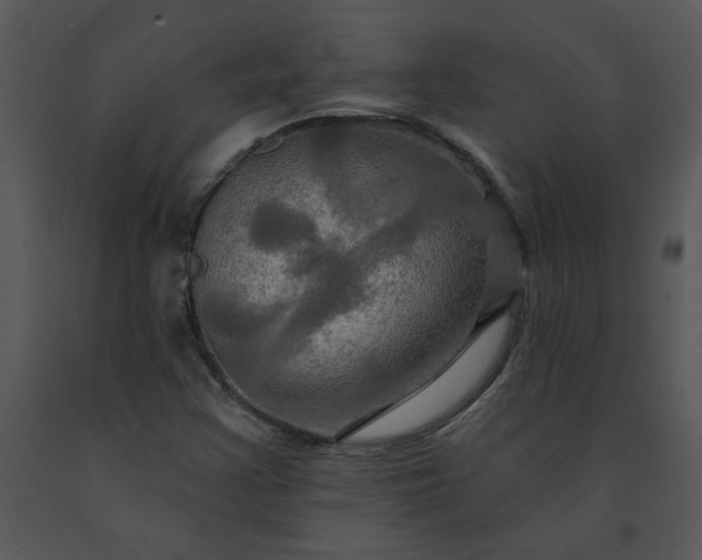 X0000091461355200708301822