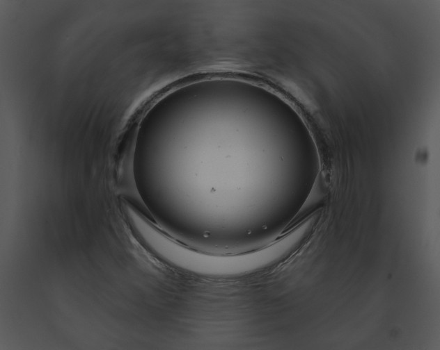 X0000091461356200708301822